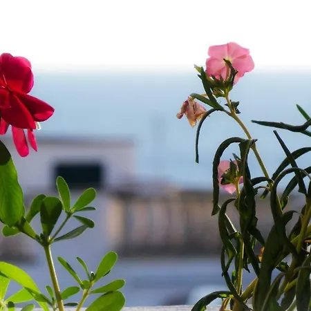 Σπίτι διακοπών Del Mar Patù